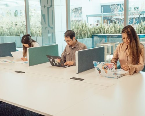 A busy but well-organized coworking space in a modern Mexican city