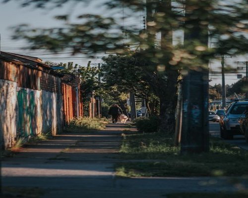 A person walking calmly down a quiet residential street in the afternoon